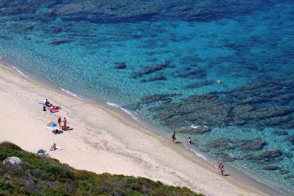 Gites Terra Di A Bravona Linguizzetta Exteriér fotografie